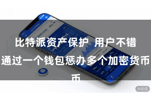 比特派资产保护  用户不错通过一个钱包惩办多个加密货币