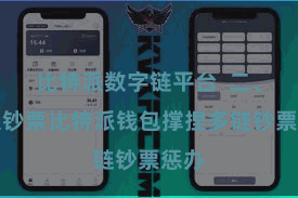 比特派数字链平台 二、导入钞票比特派钱包撑捏多链钞票惩办