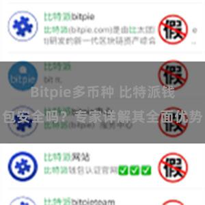 Bitpie多币种 比特派钱包安全吗？专家详解其全面优势