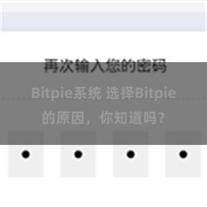 Bitpie系统 选择Bitpie的原因，你知道吗？