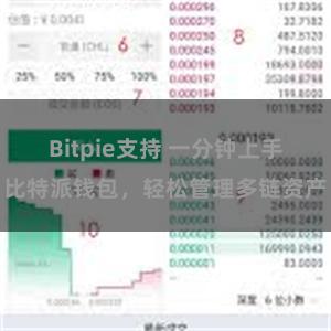 Bitpie支持 一分钟上手比特派钱包，轻松管理多链资产