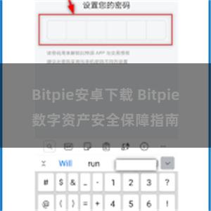 Bitpie安卓下载 Bitpie数字资产安全保障指南