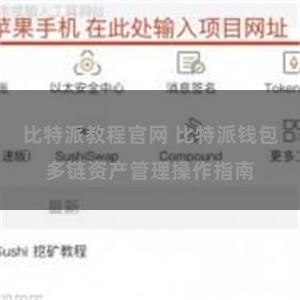 比特派教程官网 比特派钱包多链资产管理操作指南