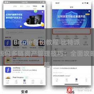 Bitpie备份教程 比特派钱包多链资产管理技巧：全面攻略