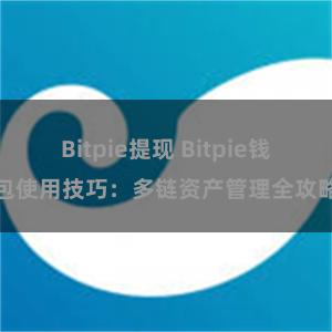 Bitpie提现 Bitpie钱包使用技巧：多链资产管理全攻略