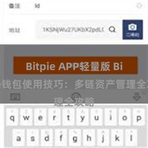 Bitpie APP轻量版 Bitpie钱包使用技巧：多链资产管理全攻略