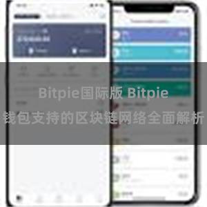 Bitpie国际版 Bitpie钱包支持的区块链网络全面解析