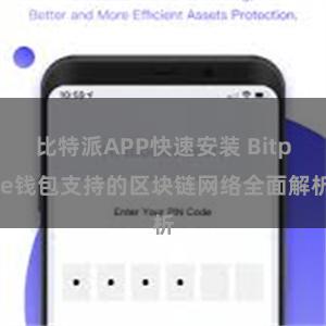 比特派APP快速安装 Bitpie钱包支持的区块链网络全面解析