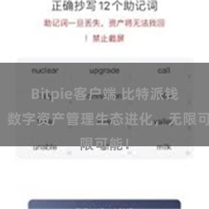 Bitpie客户端 比特派钱包：数字资产管理生态进化，无限可能！