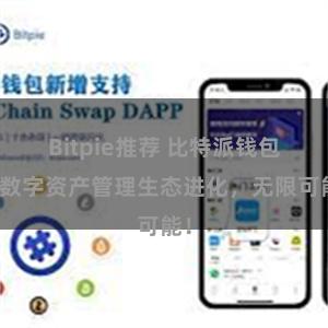 Bitpie推荐 比特派钱包：数字资产管理生态进化，无限可能！