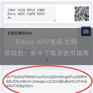 Bitpie APP直链 比特派钱包：新手下载及使用指南