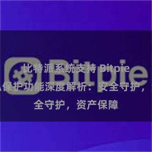 比特派系统支持 Bitpie钱包隐私保护功能深度解析：安全守护，资产保障