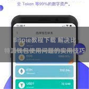 Bitpie教程下载 解决比特派钱包使用问题的实用技巧