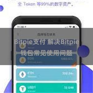 Bitpie支付 解决Bitpie钱包常见使用问题