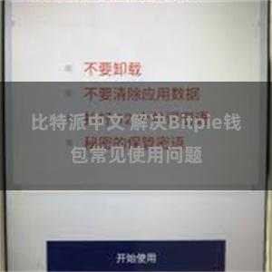 比特派中文 解决Bitpie钱包常见使用问题