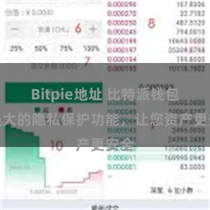 Bitpie地址 比特派钱包：强大的隐私保护功能，让您资产更安全