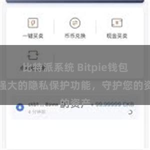 比特派系统 Bitpie钱包：强大的隐私保护功能，守护您的资产