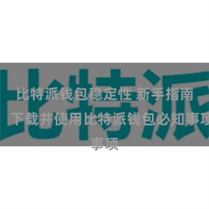 比特派钱包稳定性 新手指南：下载并使用比特派钱包必知事项