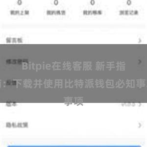 Bitpie在线客服 新手指南：下载并使用比特派钱包必知事项