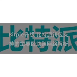 Bitpie升级 比特派钱包支持的主要区块链网络解析