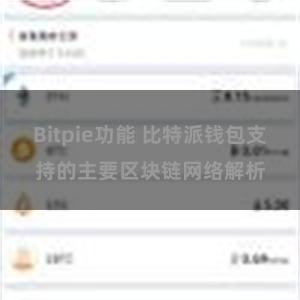 Bitpie功能 比特派钱包支持的主要区块链网络解析