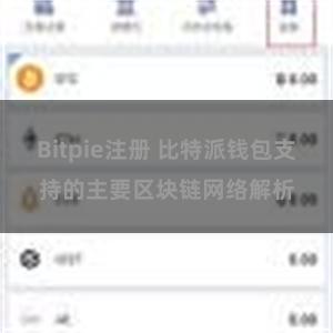 Bitpie注册 比特派钱包支持的主要区块链网络解析