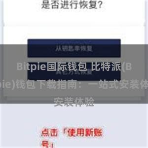 Bitpie国际钱包 比特派(Bitpie)钱包下载指南：一站式安装体验