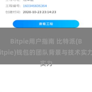 Bitpie用户指南 比特派(Bitpie)钱包的团队背景与技术实力