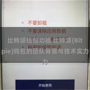 比特派钱包功能 比特派(Bitpie)钱包的团队背景与技术实力