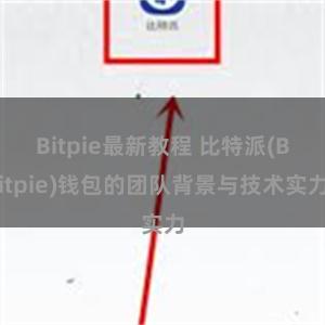 Bitpie最新教程 比特派(Bitpie)钱包的团队背景与技术实力