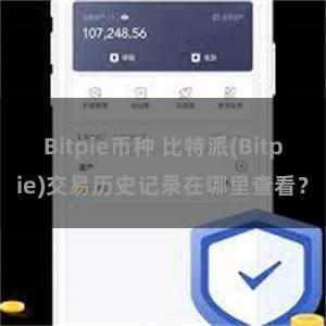 Bitpie币种 比特派(Bitpie)交易历史记录在哪里查看？