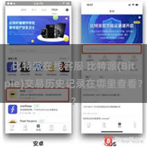 比特派在线客服 比特派(Bitpie)交易历史记录在哪里查看？