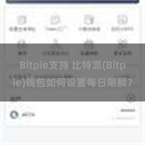 Bitpie支持 比特派(Bitpie)钱包如何设置每日限额？