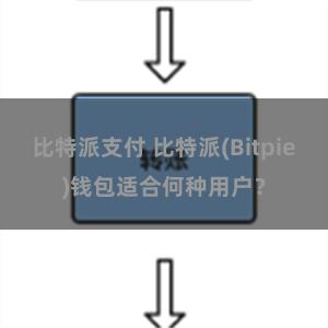 比特派支付 比特派(Bitpie)钱包适合何种用户？