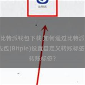 比特派钱包下载 如何通过比特派钱包(Bitpie)设置自定义转账标签？