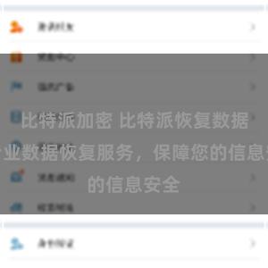 比特派加密 比特派恢复数据：专业数据恢复服务，保障您的信息安全