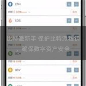 比特派新手 保护比特派私钥，确保数字资产安全