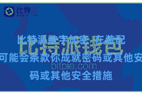 比特派数字加密  在装配流程中可能会条款你成就密码或其他安全措施
